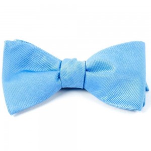 Papion self-tie bleu